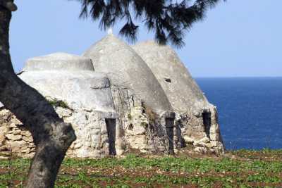 I pagliari, quei "parenti dei trulli" sparsi in campagna che parlano di un antico mondo rurale
